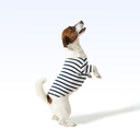 SAINT JAMES PARISIAN PUP SHIRT